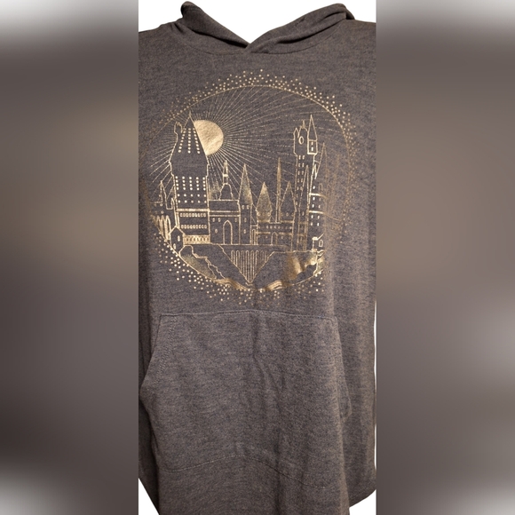 Fantastic Beasts Pull-over T-shirt Hoodie Sz M Light Weight Fall Movie Night - Picture 3 of 4